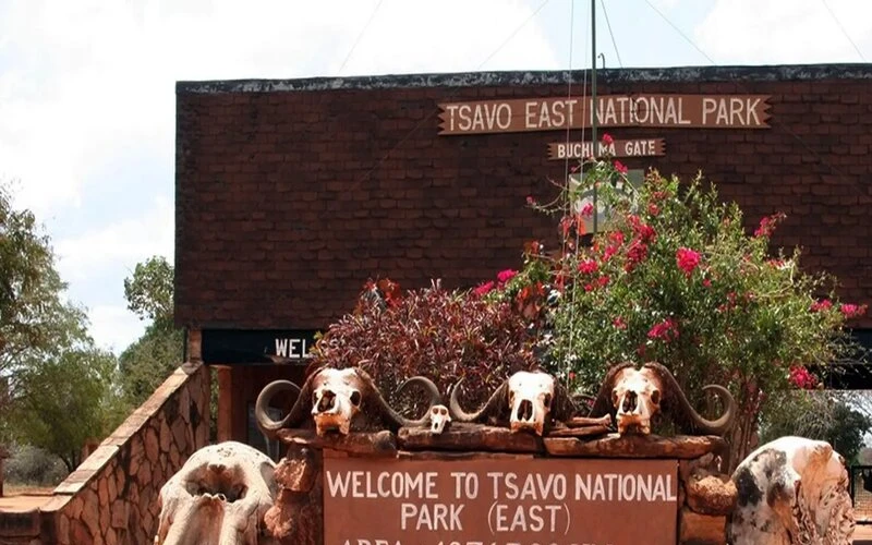 Looking for a tour to Tsavo National Park from Nairobi by train?  Consider this travel plan by Olanka Safaris