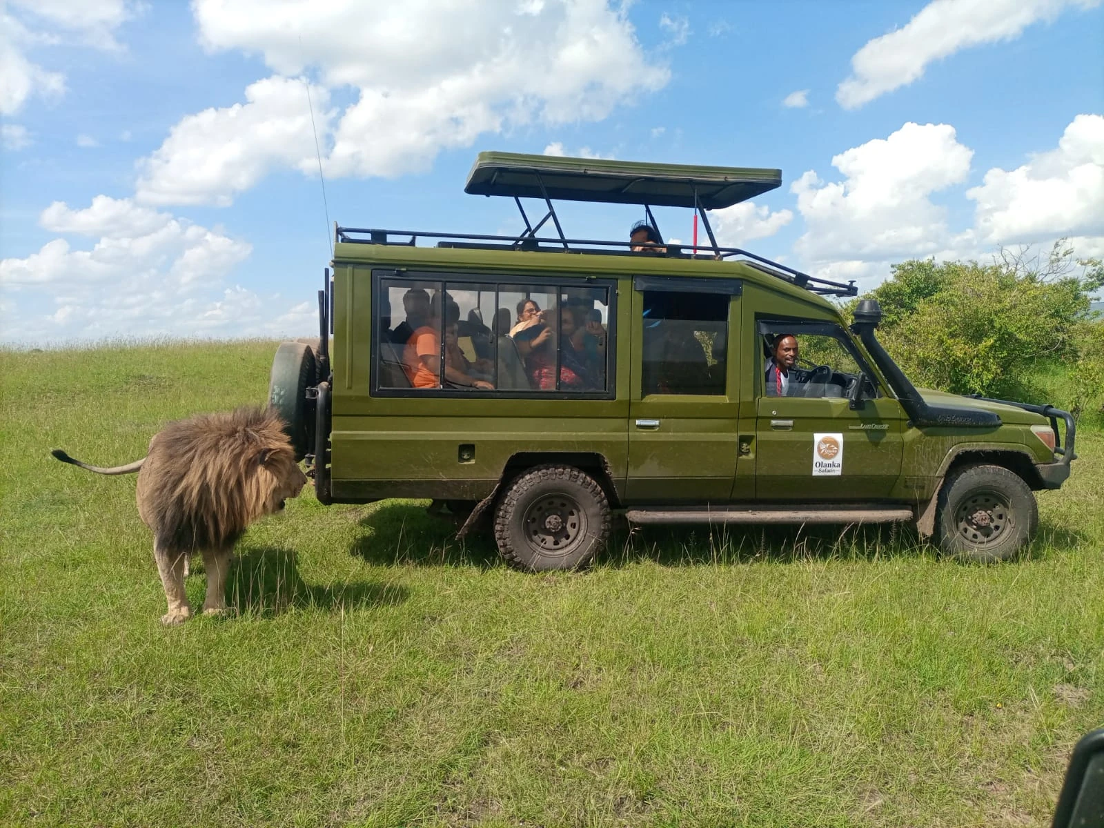 Leading Safari Companies In Kenya